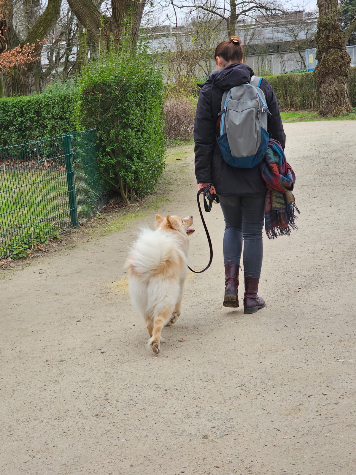 Owner walking a fluffy dog calmly on a loose lead along a park path