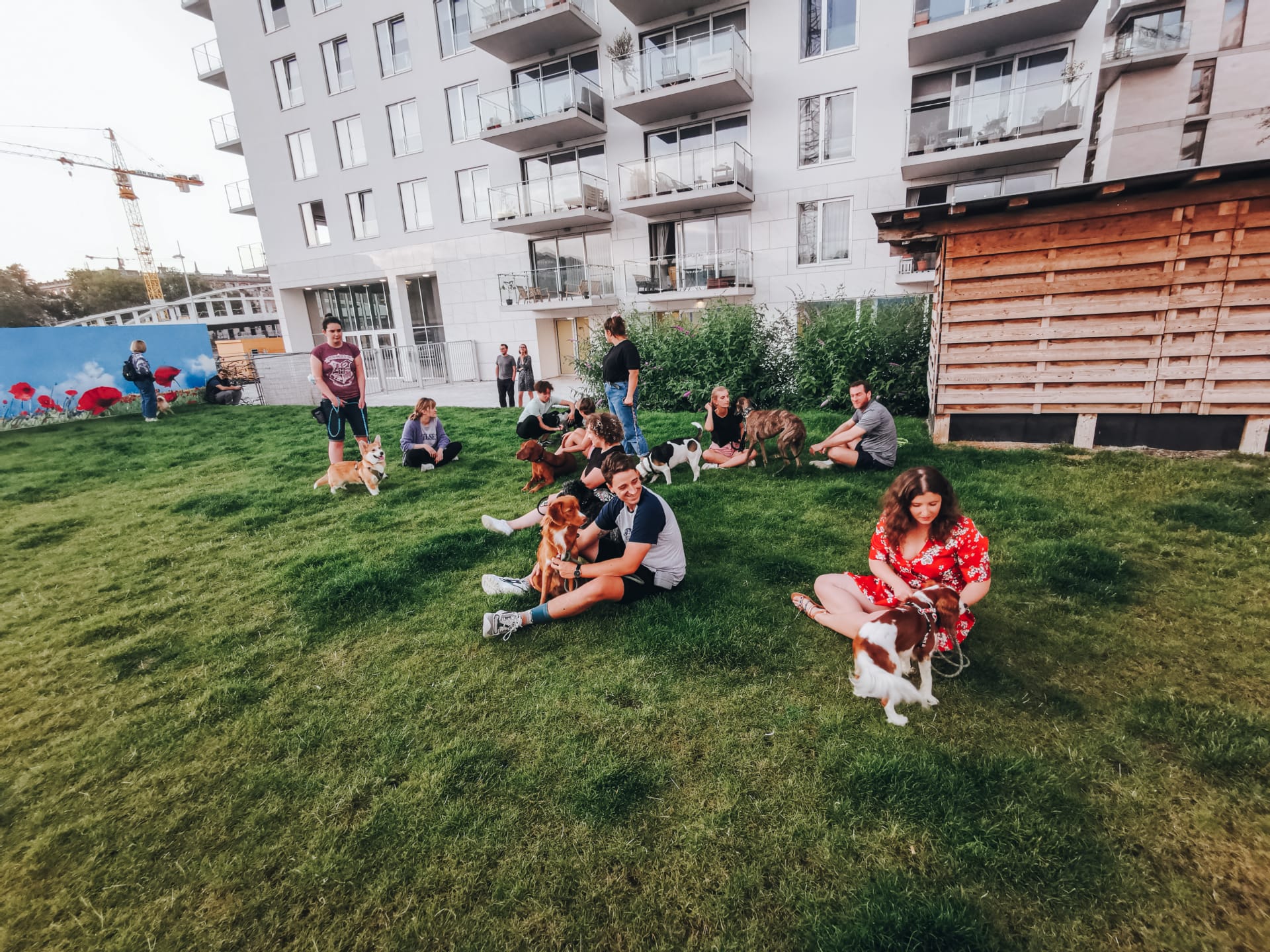Owners sitting on the grass with their dogs during an outdoor group class
